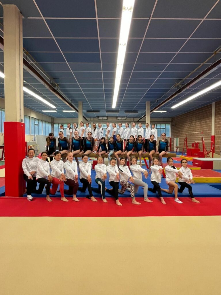 Gymnastes en compétition